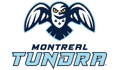 蒙特利尔冻原 队徽